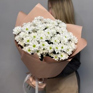 Ромашки для тебя