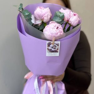 3 светло-розовых пиона с эвкалиптом в упаковке