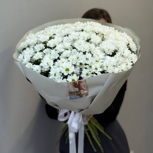 Букет из 25 кустовых хризантем в упаковке