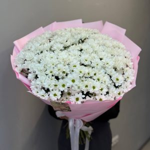 Букет из 35 белых кустовых хризантем в упаковке